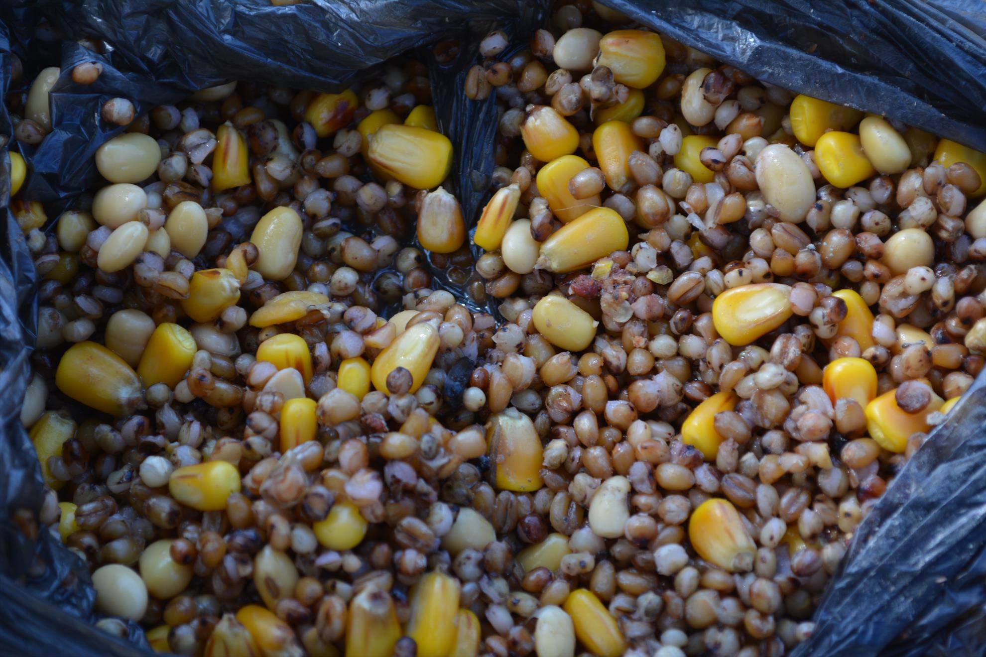 Cupa Debuntatilor  - Hermes Peris - dsc0130111.JPG